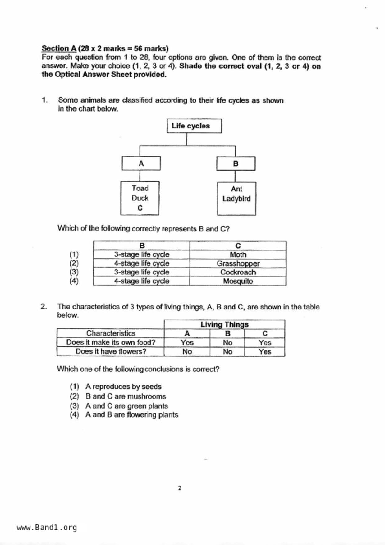 P4Science試卷