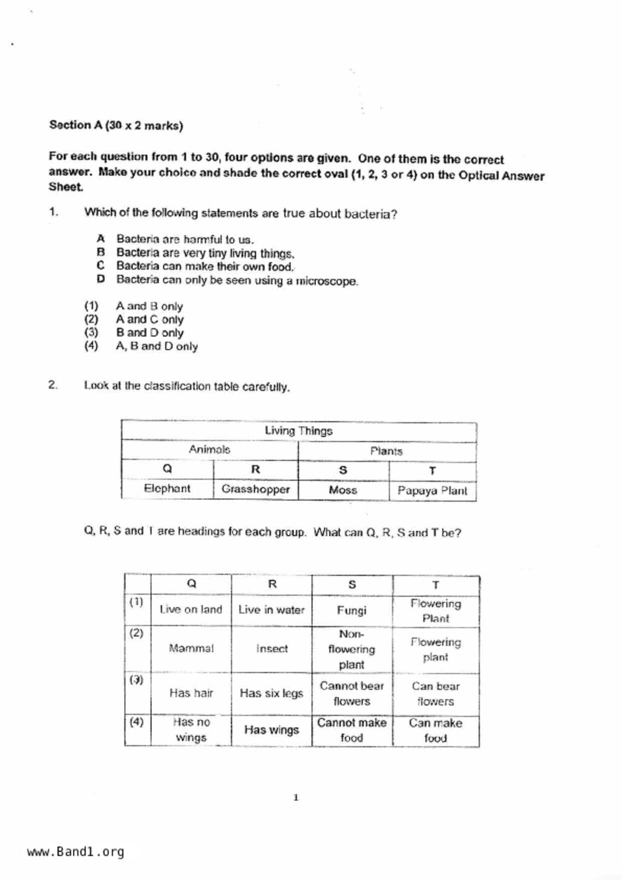 P4Science試卷