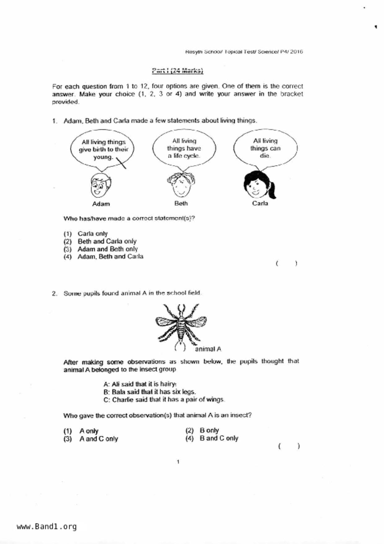 P4Science試卷