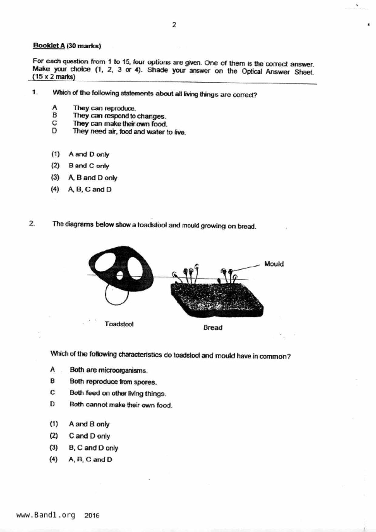 P4Science試卷