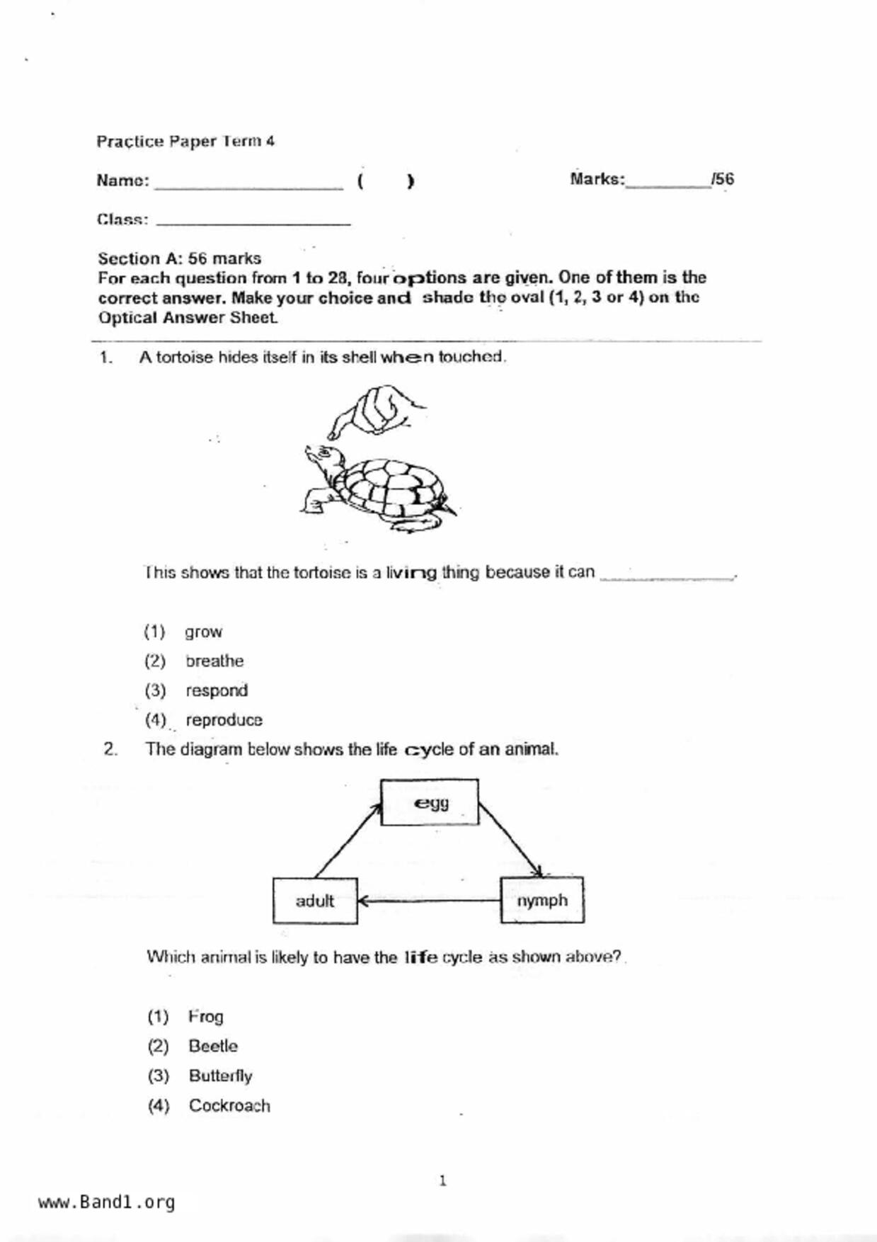 P4Science試卷