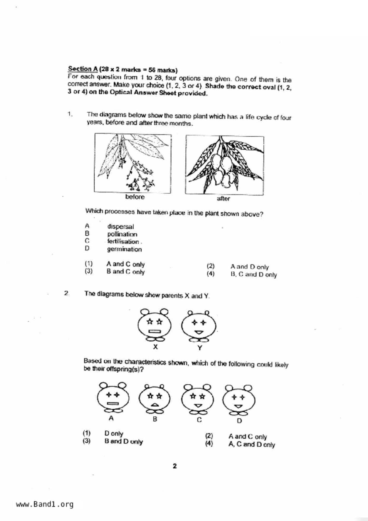 P5Science試卷