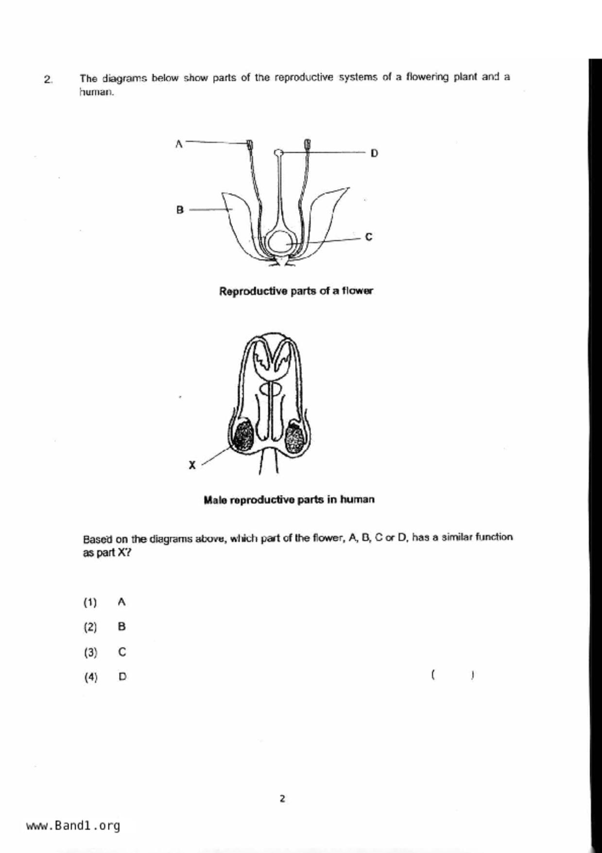 P5Science試卷
