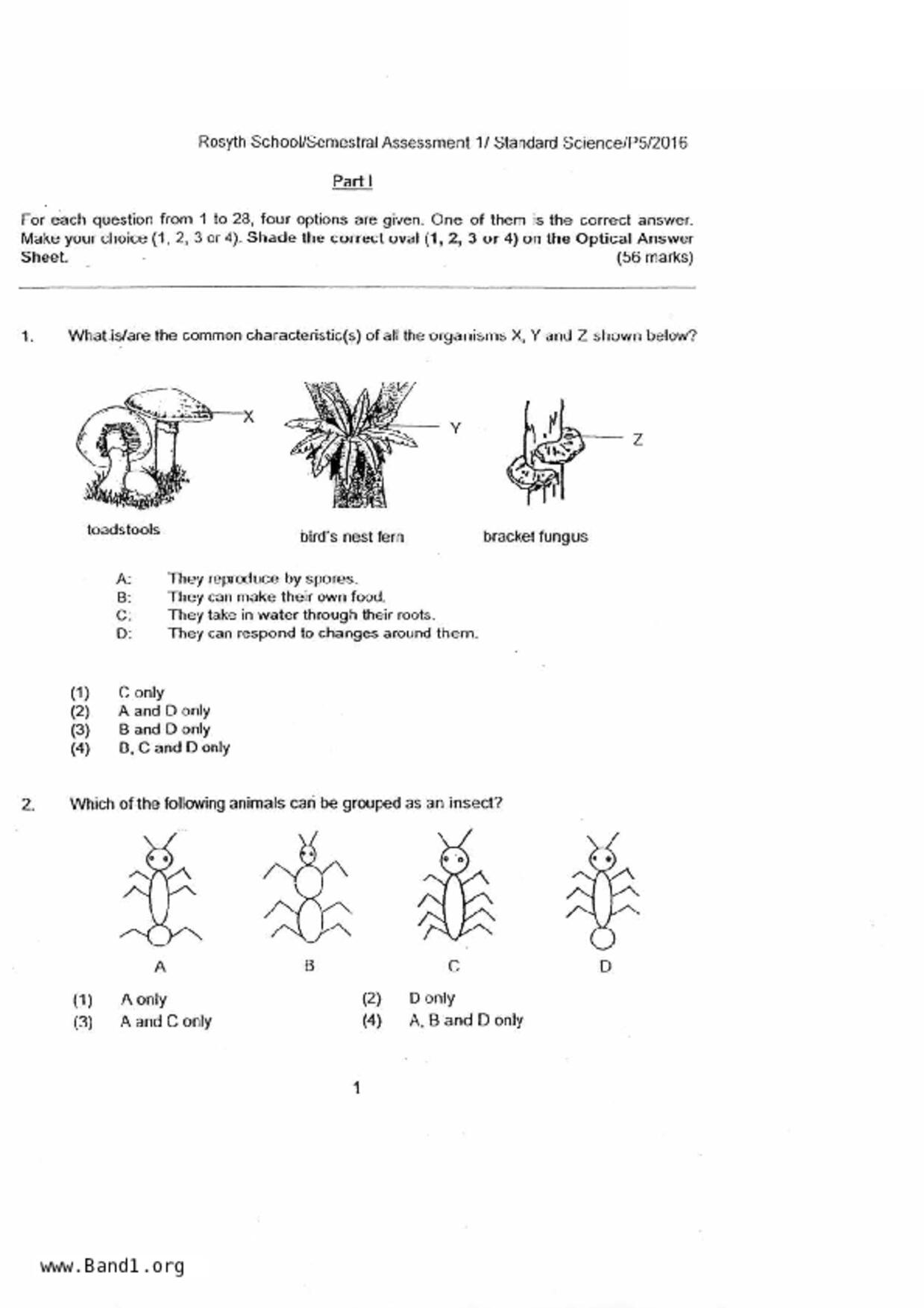 P5Science試卷
