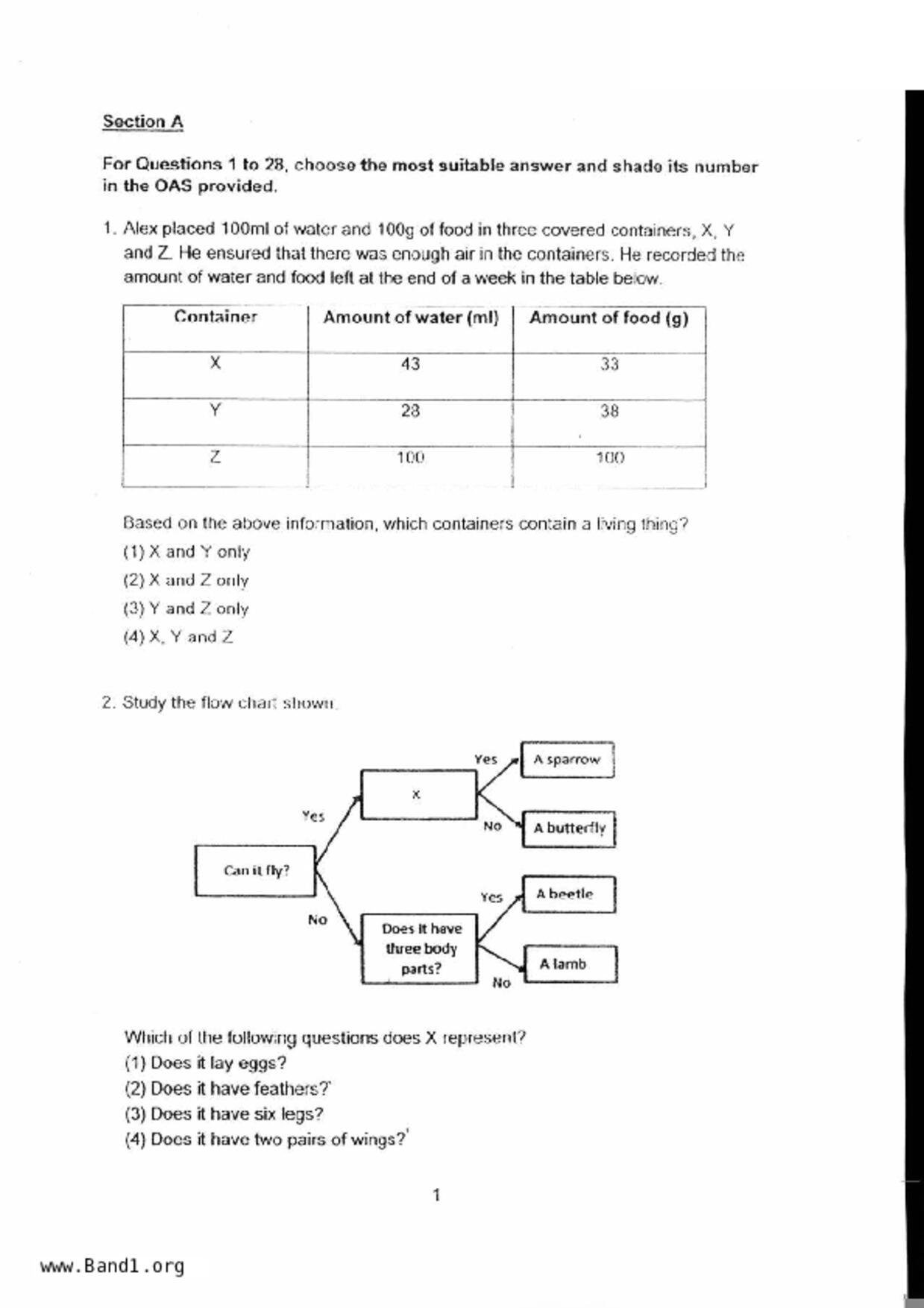 P5Science試卷