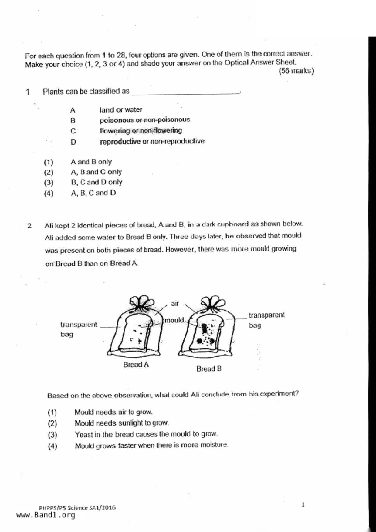 P5Science試卷