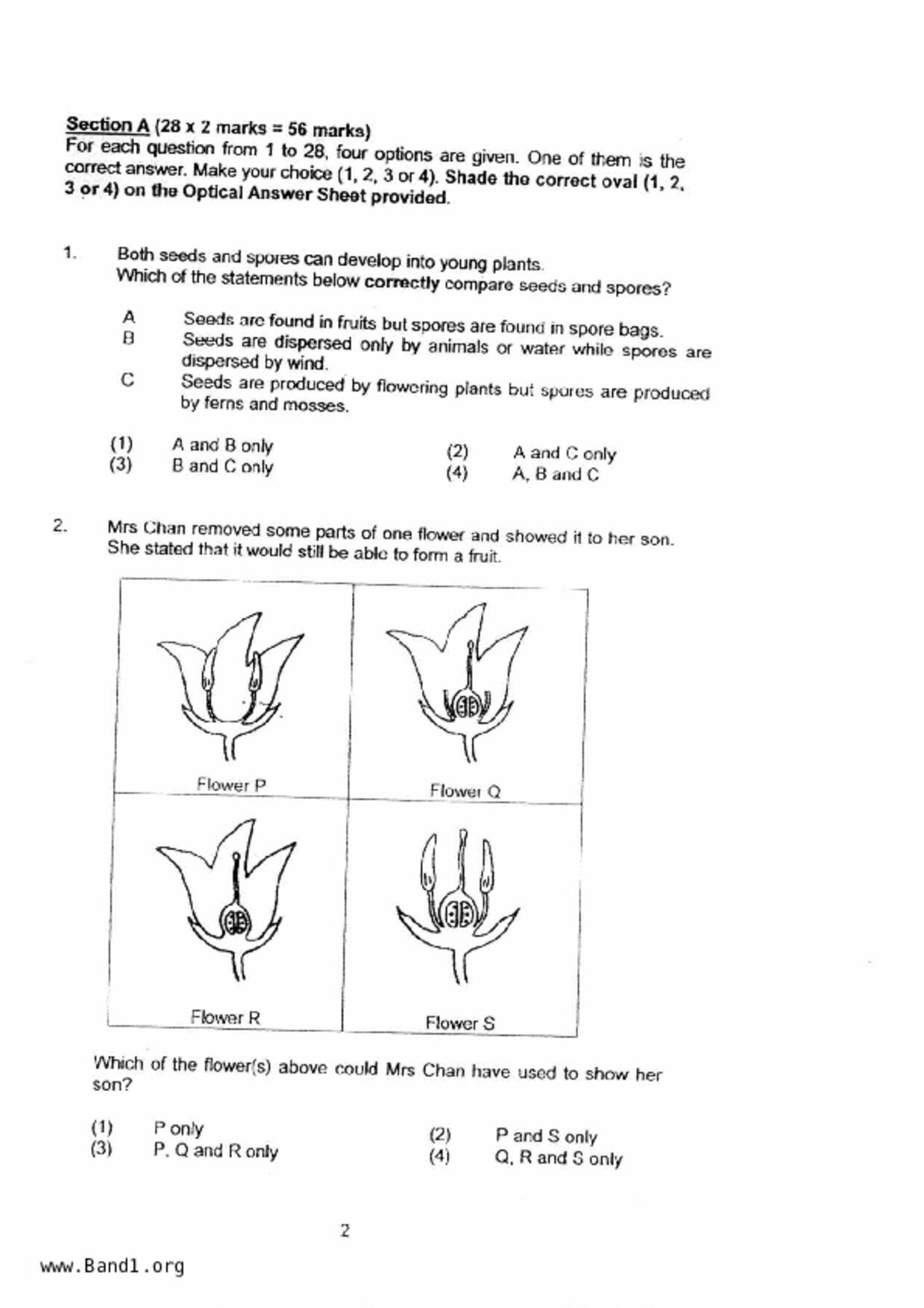 P5Science試卷