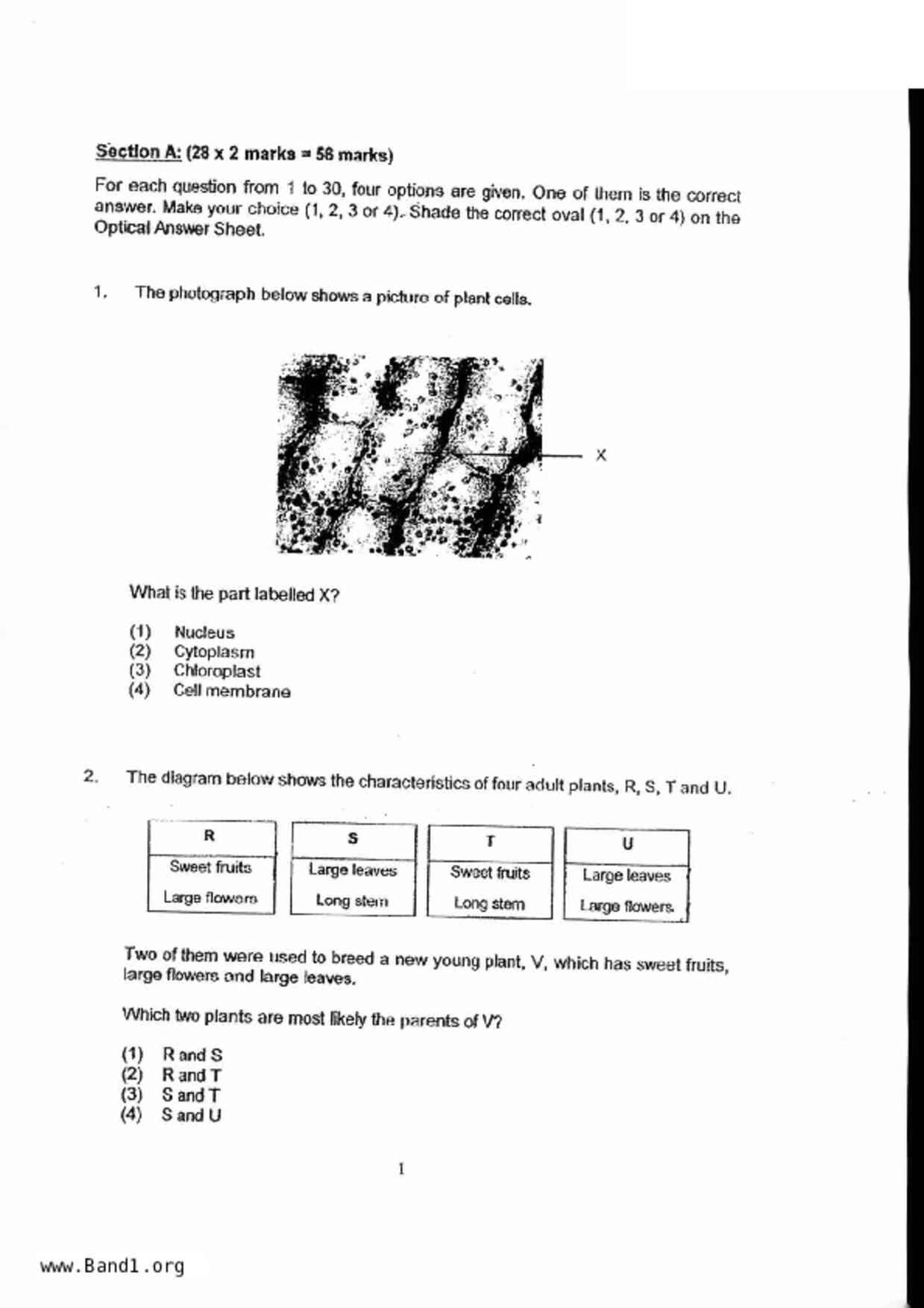 P5Science試卷