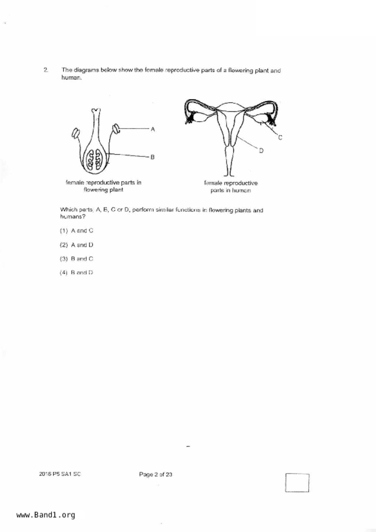 P5Science試卷