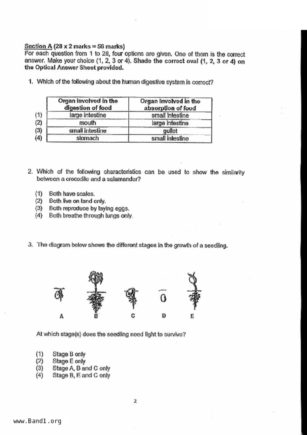 P5Science試卷