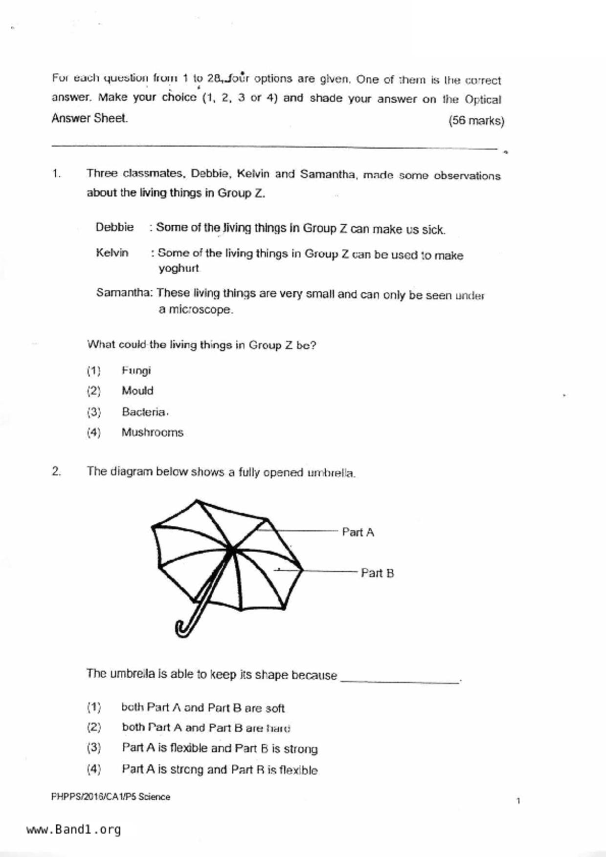 P5Science試卷