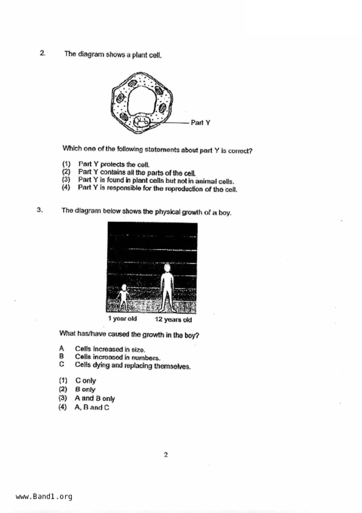 P5Science試卷