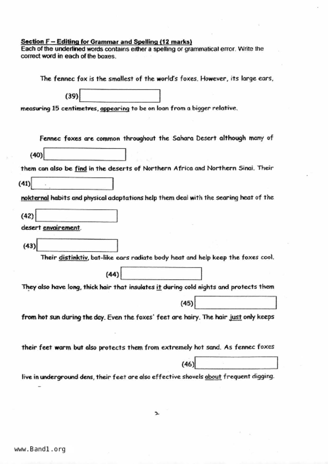 P6English試卷
