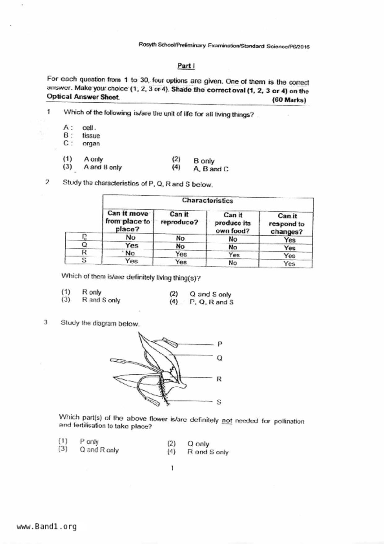 P6Science試卷