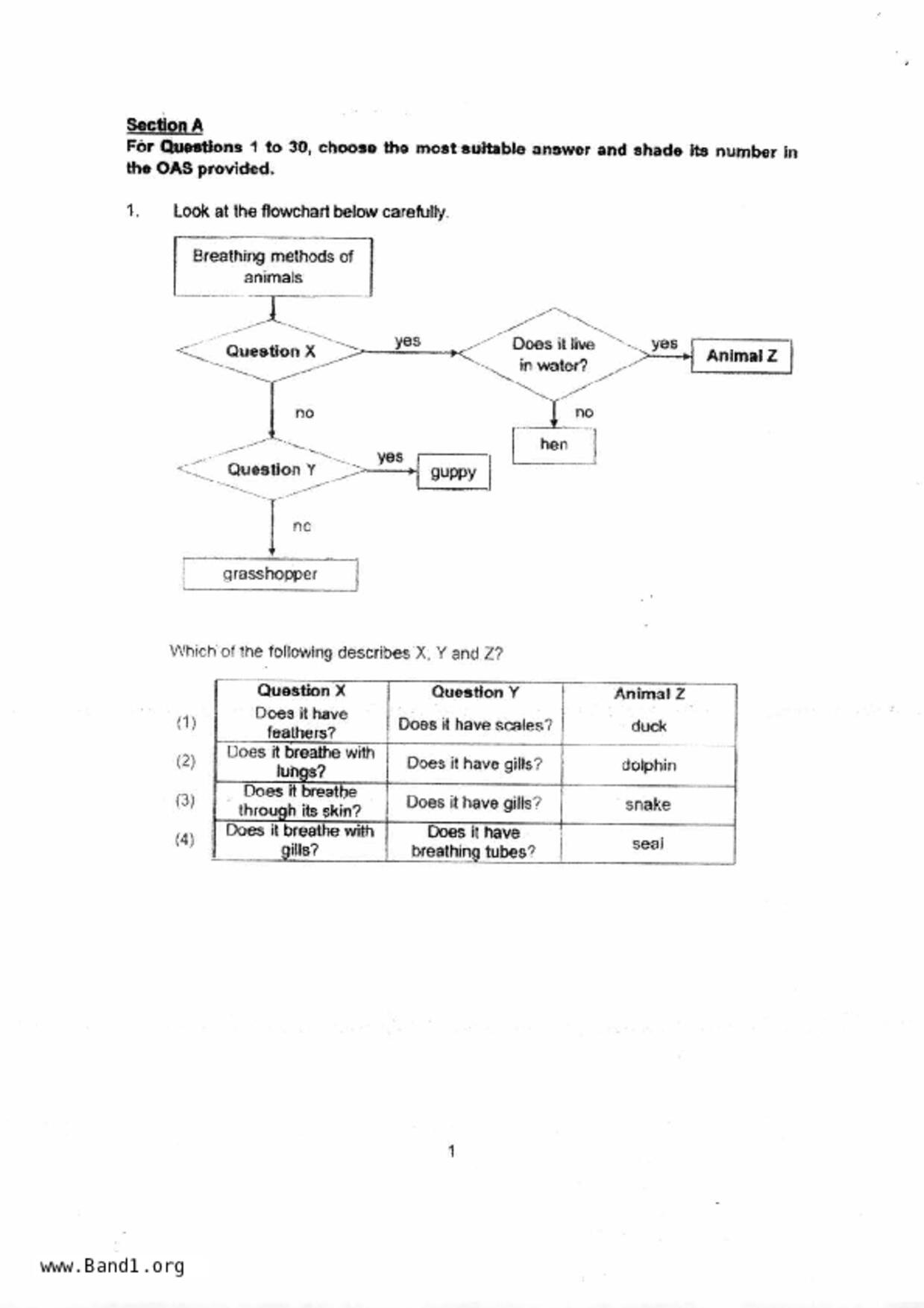 P6Science試卷
