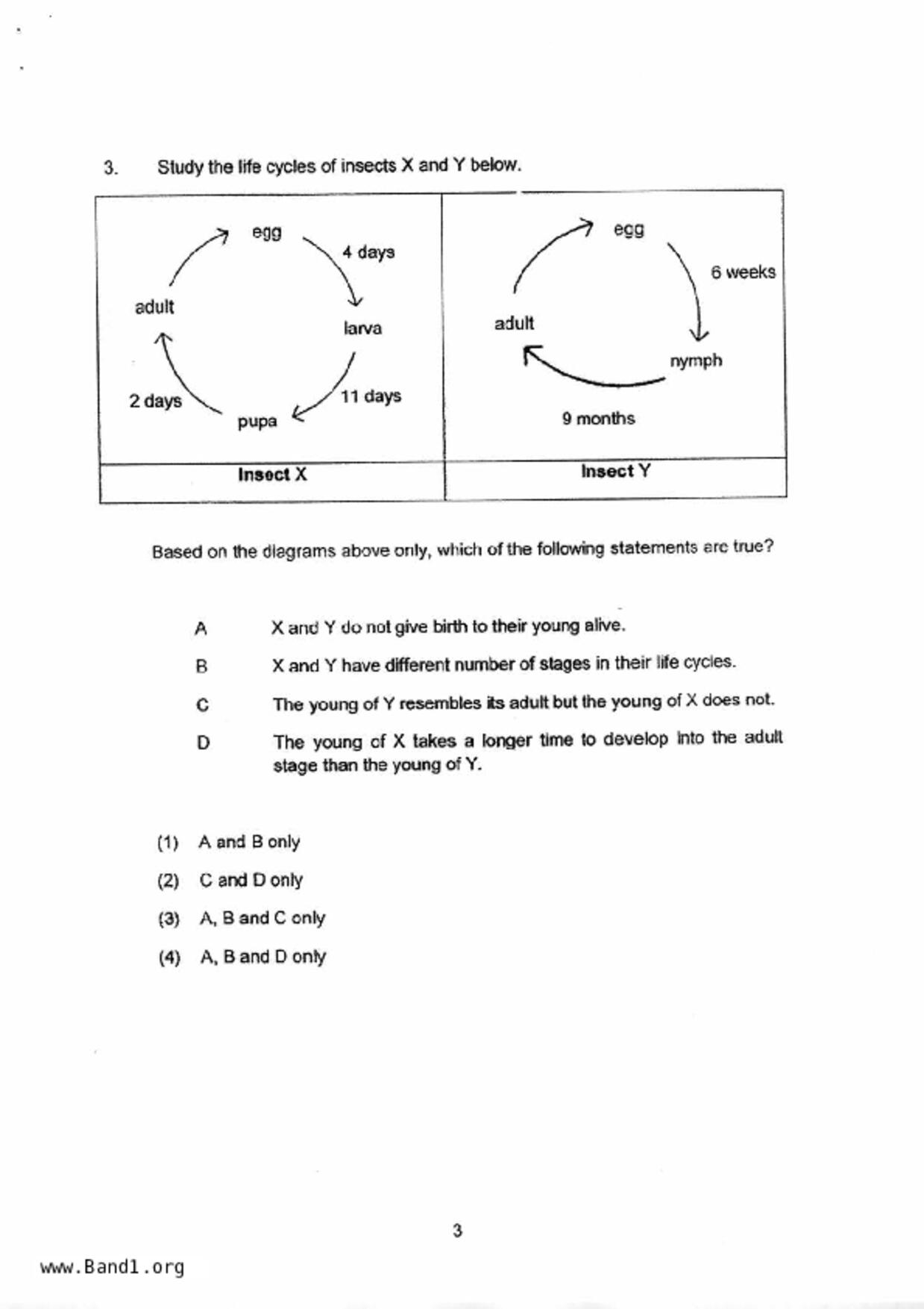 P6Science試卷