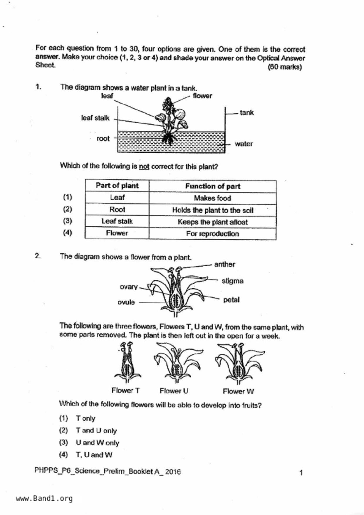 P6Science試卷