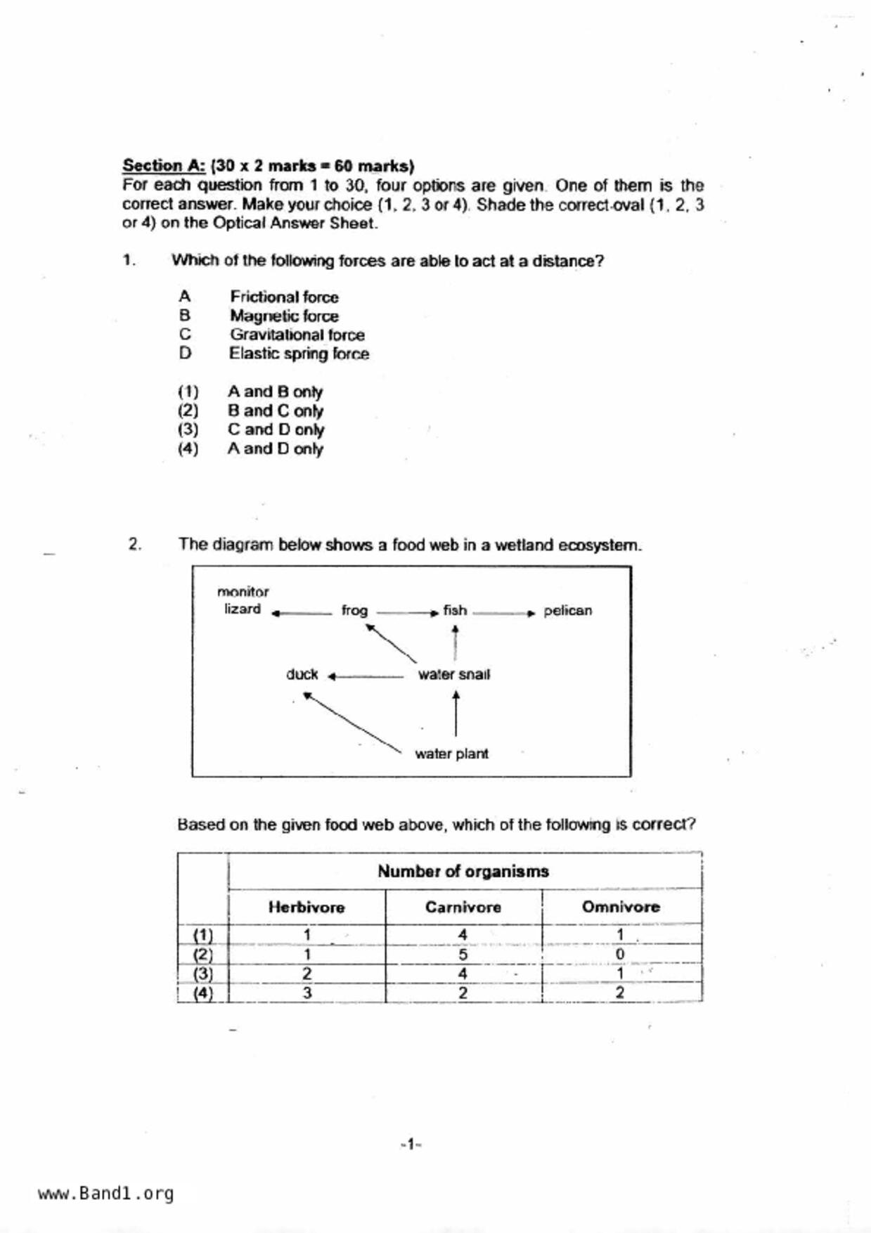 P6Science試卷