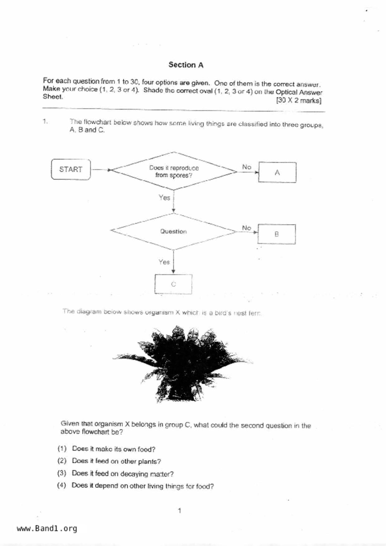 P6Science試卷