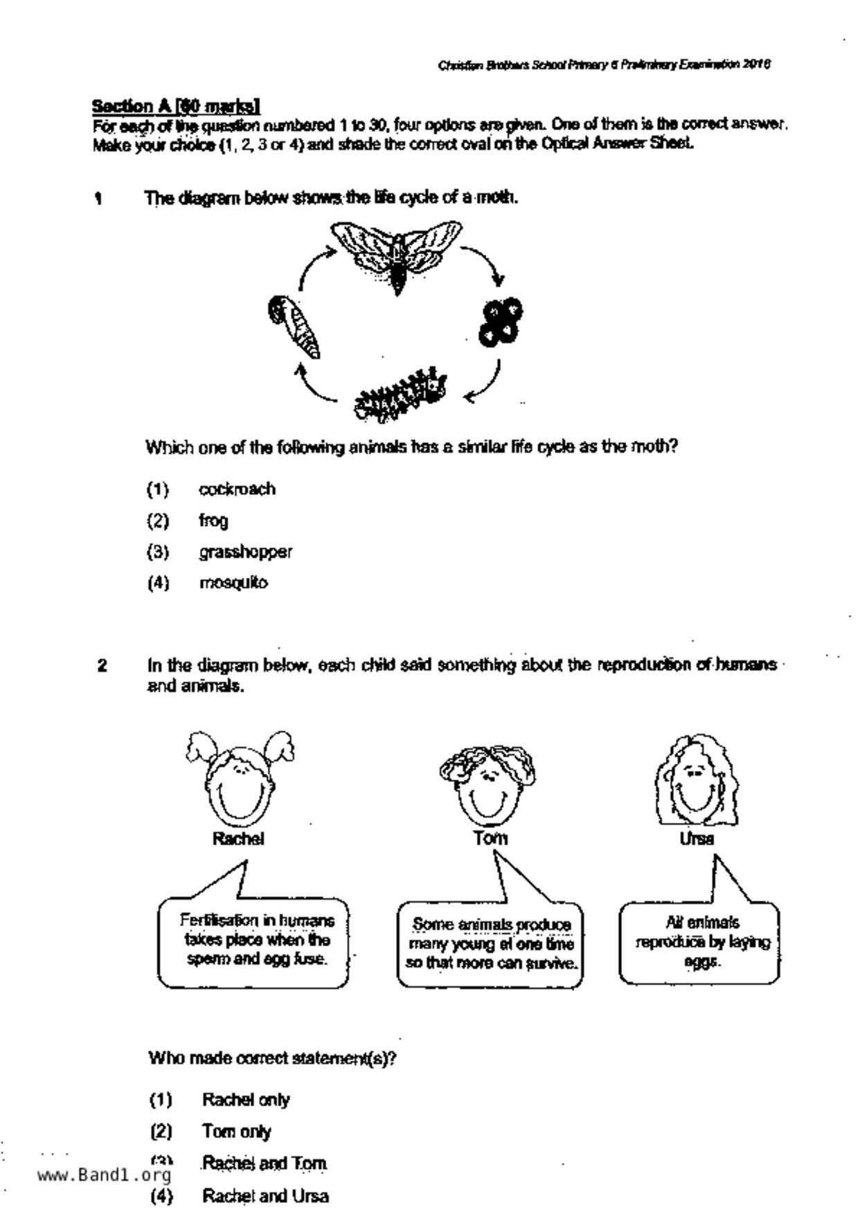 P6Science試卷