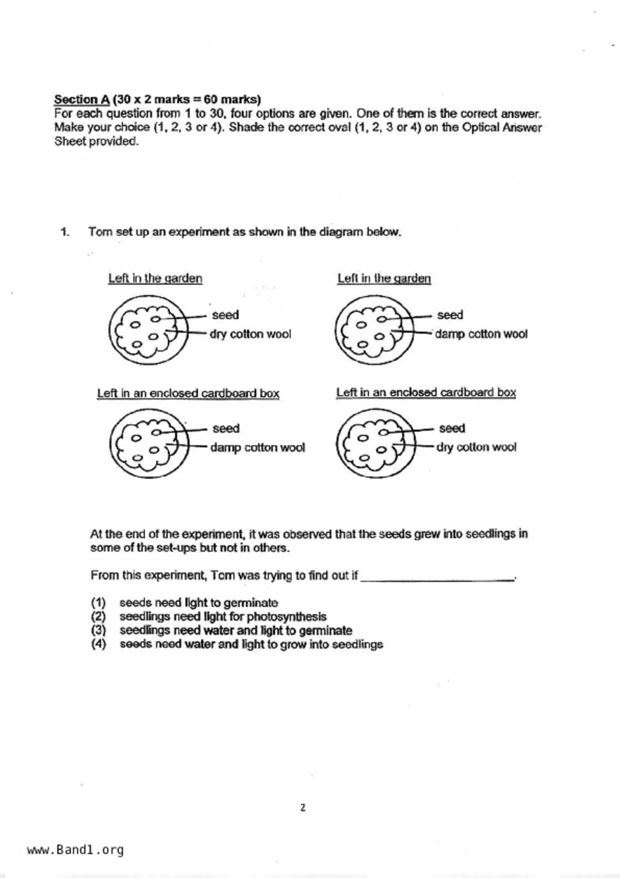 P6Science試卷