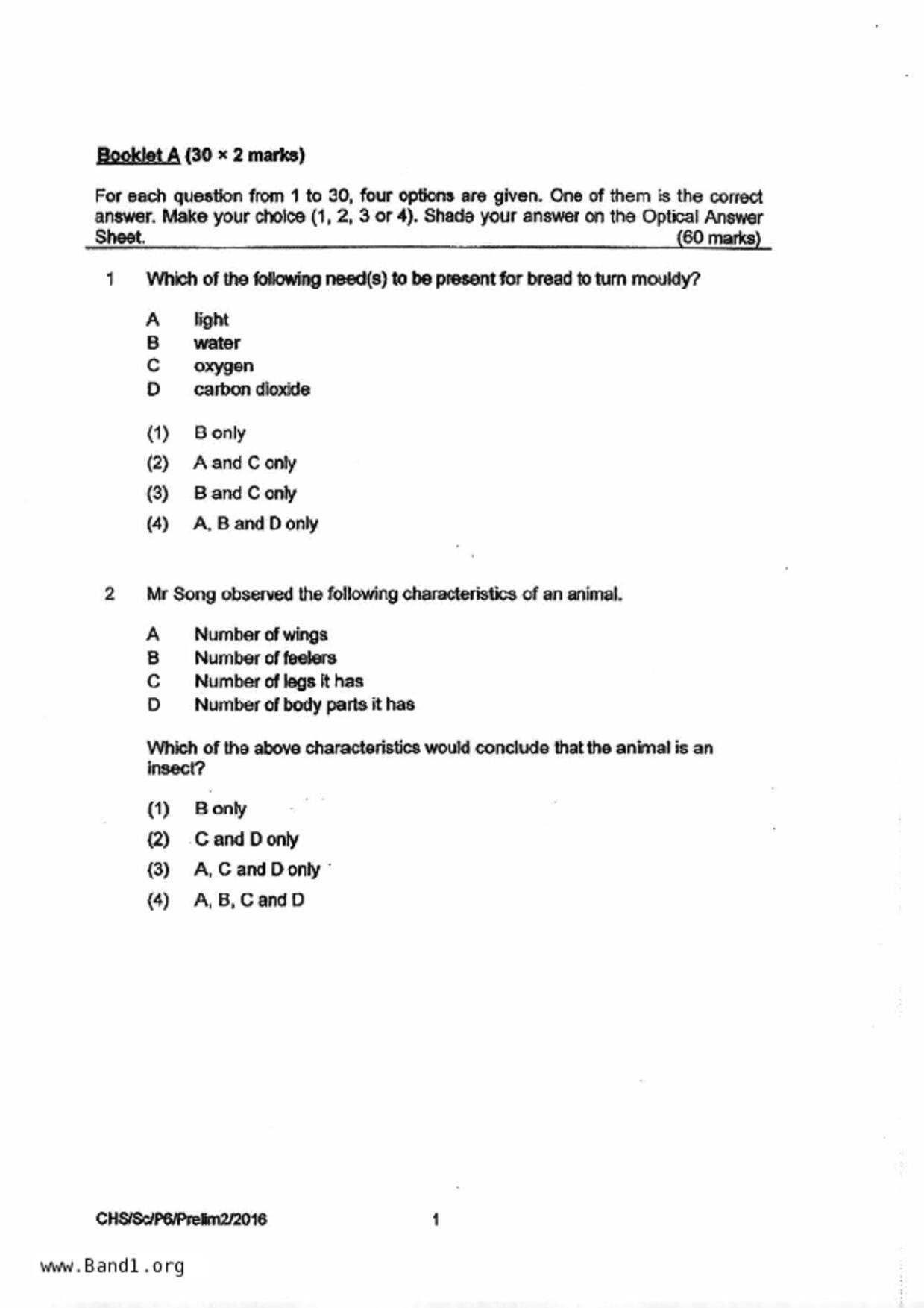 P6Science試卷