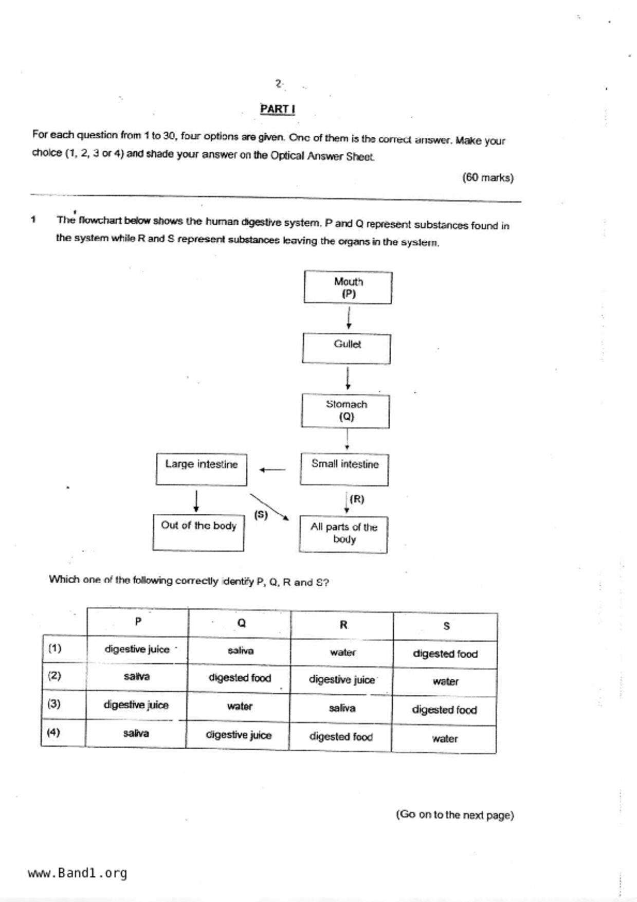 P6Science試卷