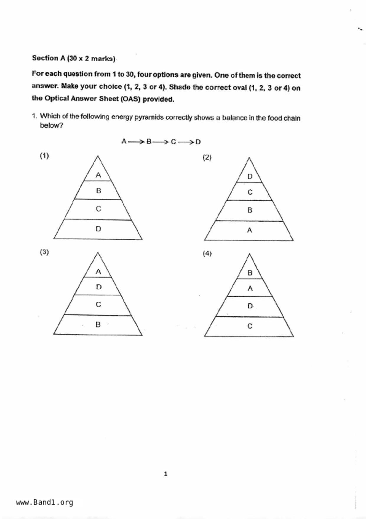 P6Science試卷