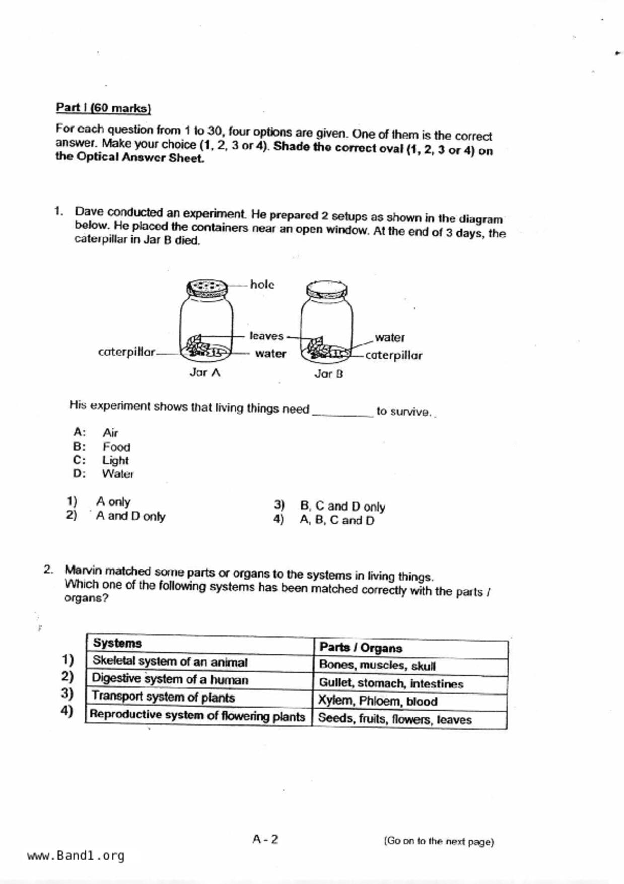 P6Science試卷