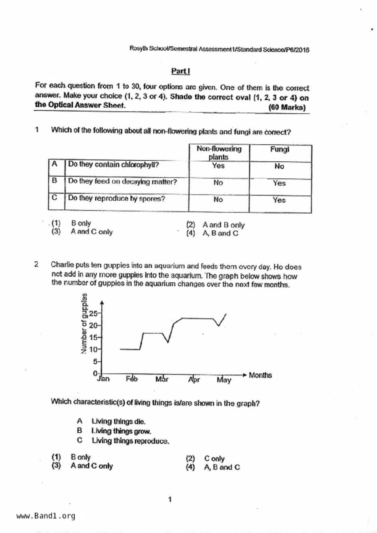 P6Science試卷