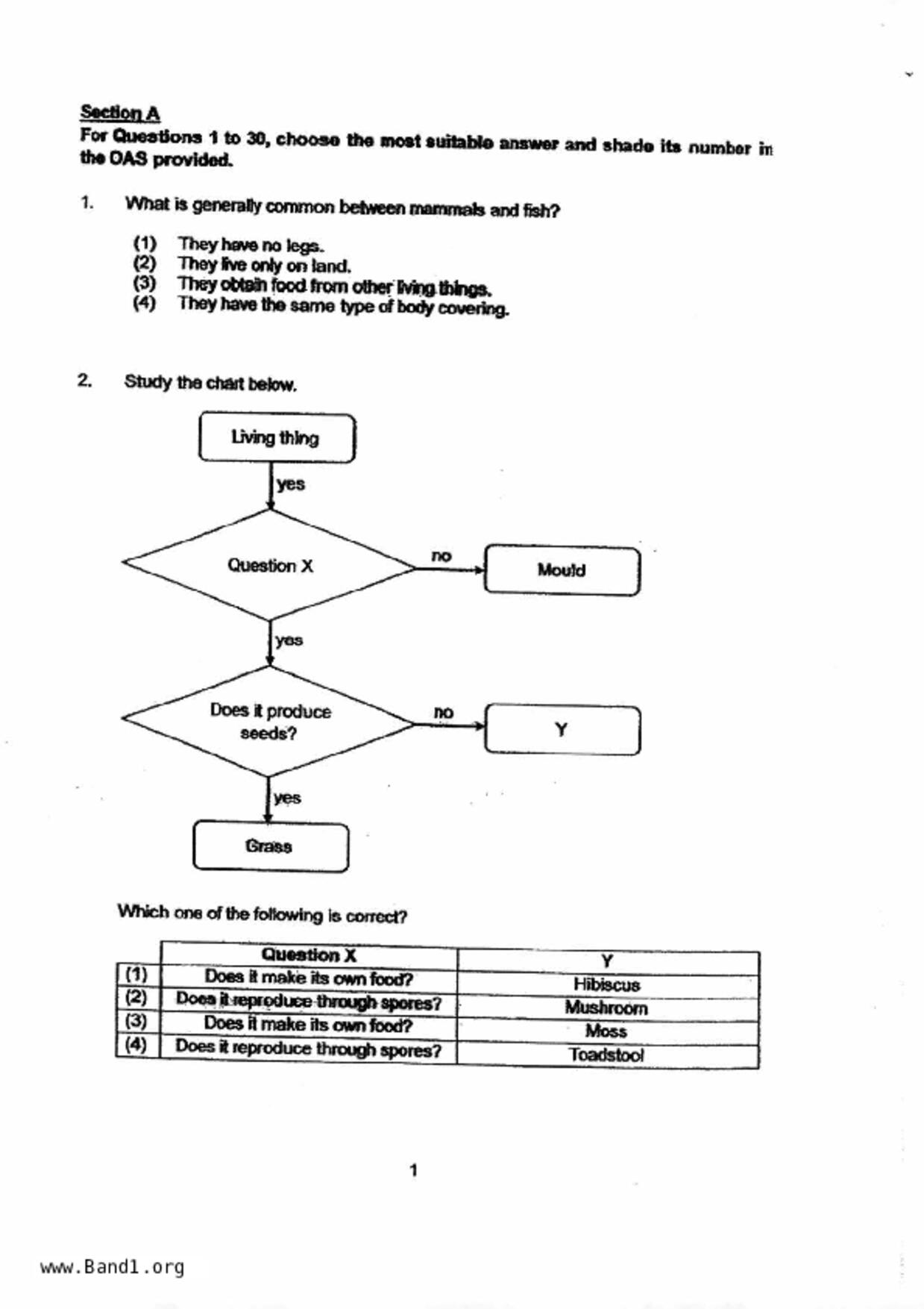 P6Science試卷
