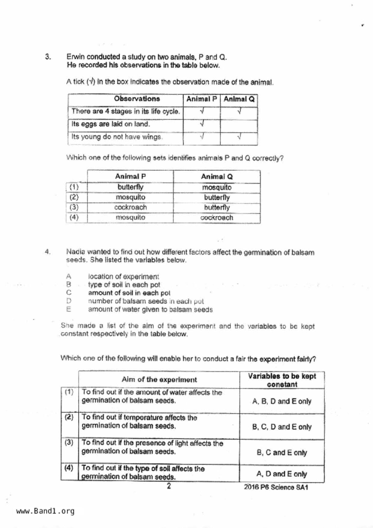P6Science試卷