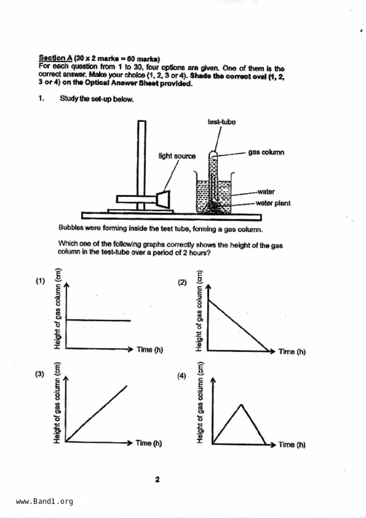 P6Science試卷