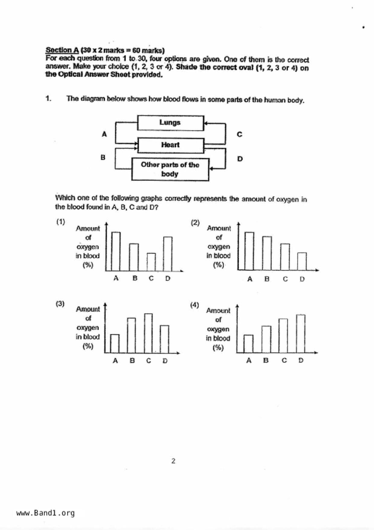 P6Science試卷