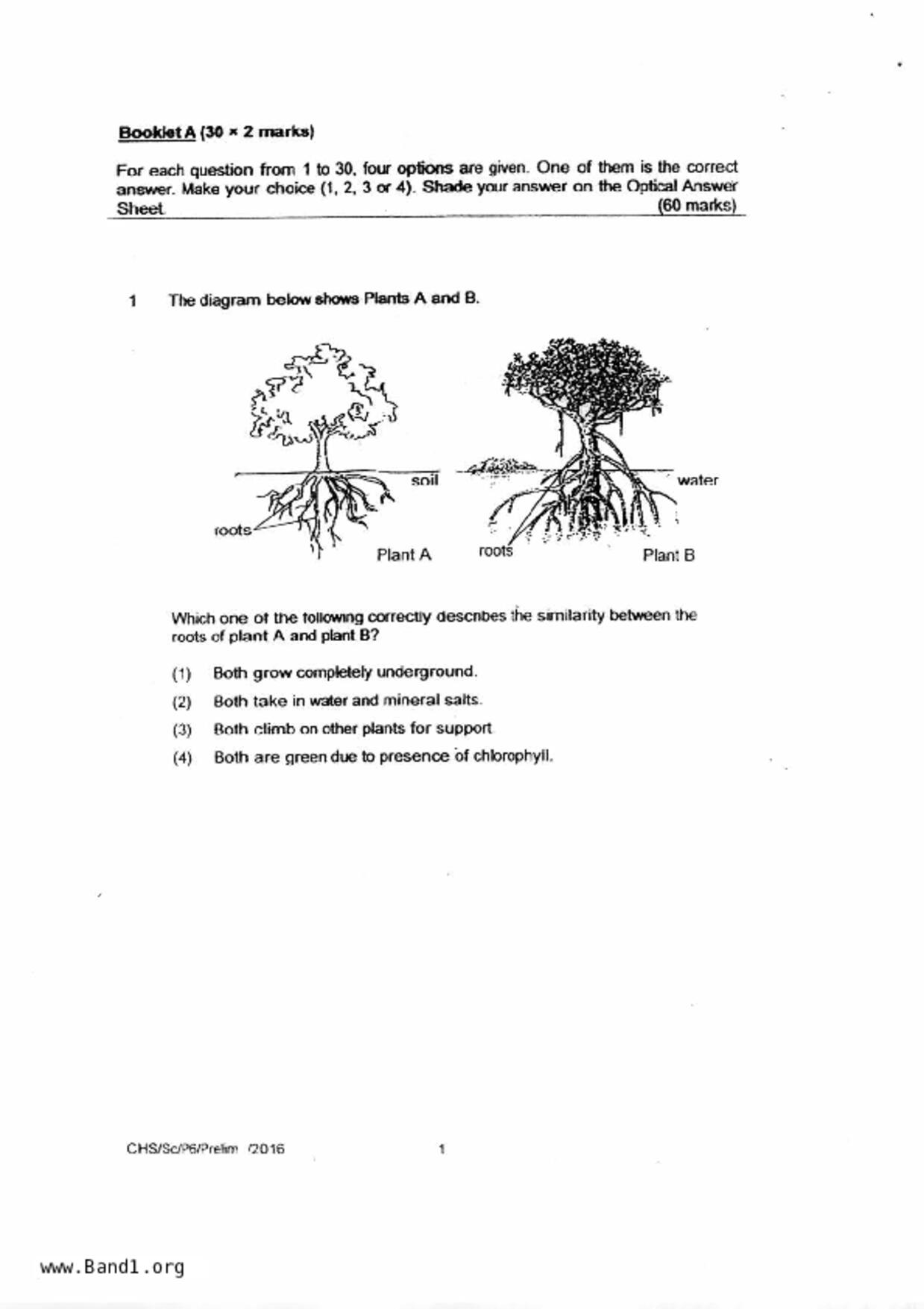 P6Science試卷