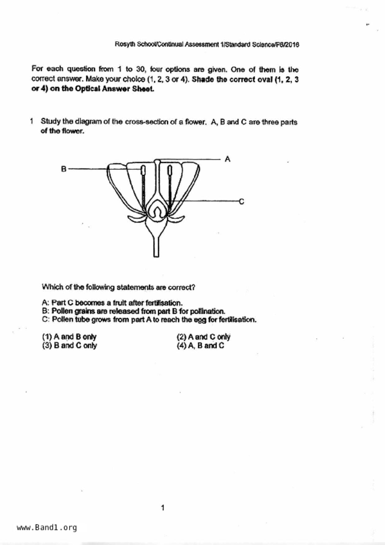 P6Science試卷