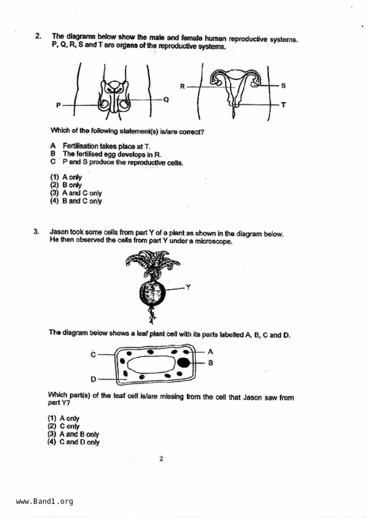 P6Science試卷