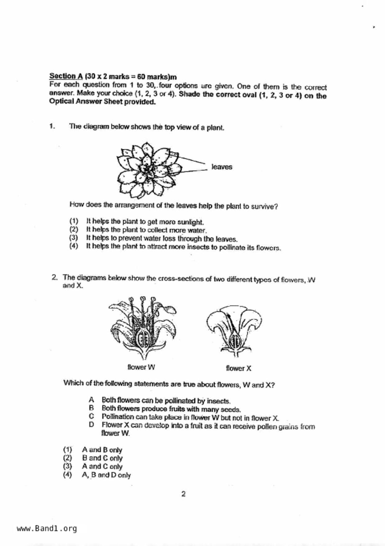 P6Science試卷