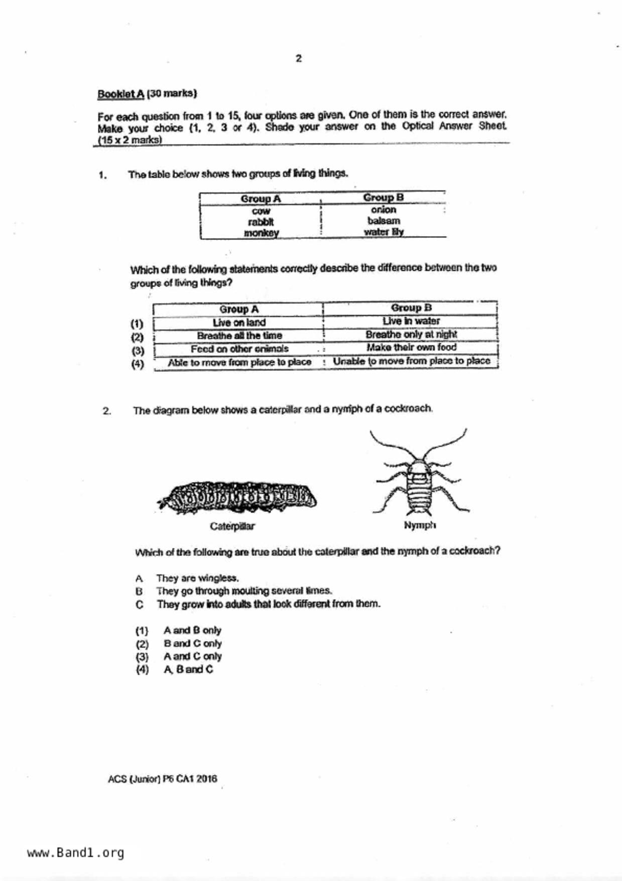 P6Science試卷