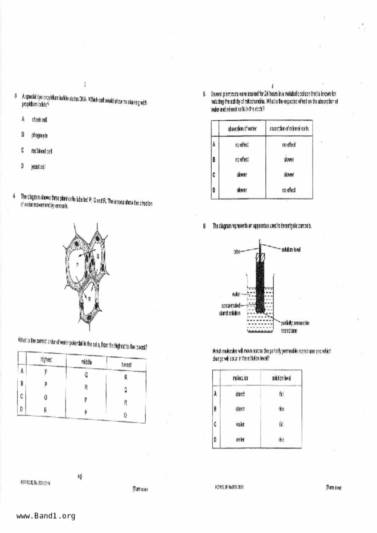 S3Pure Biology試卷