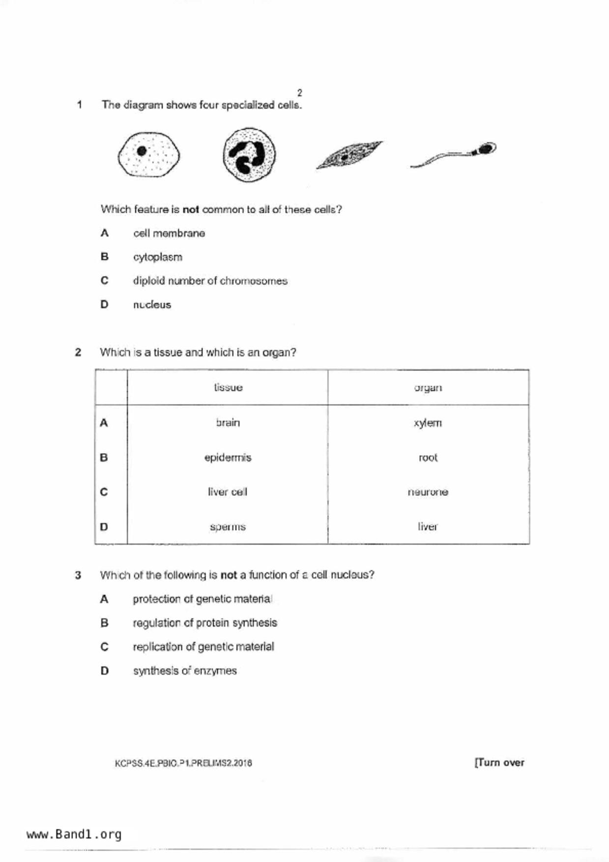 S5Pure Biology試卷