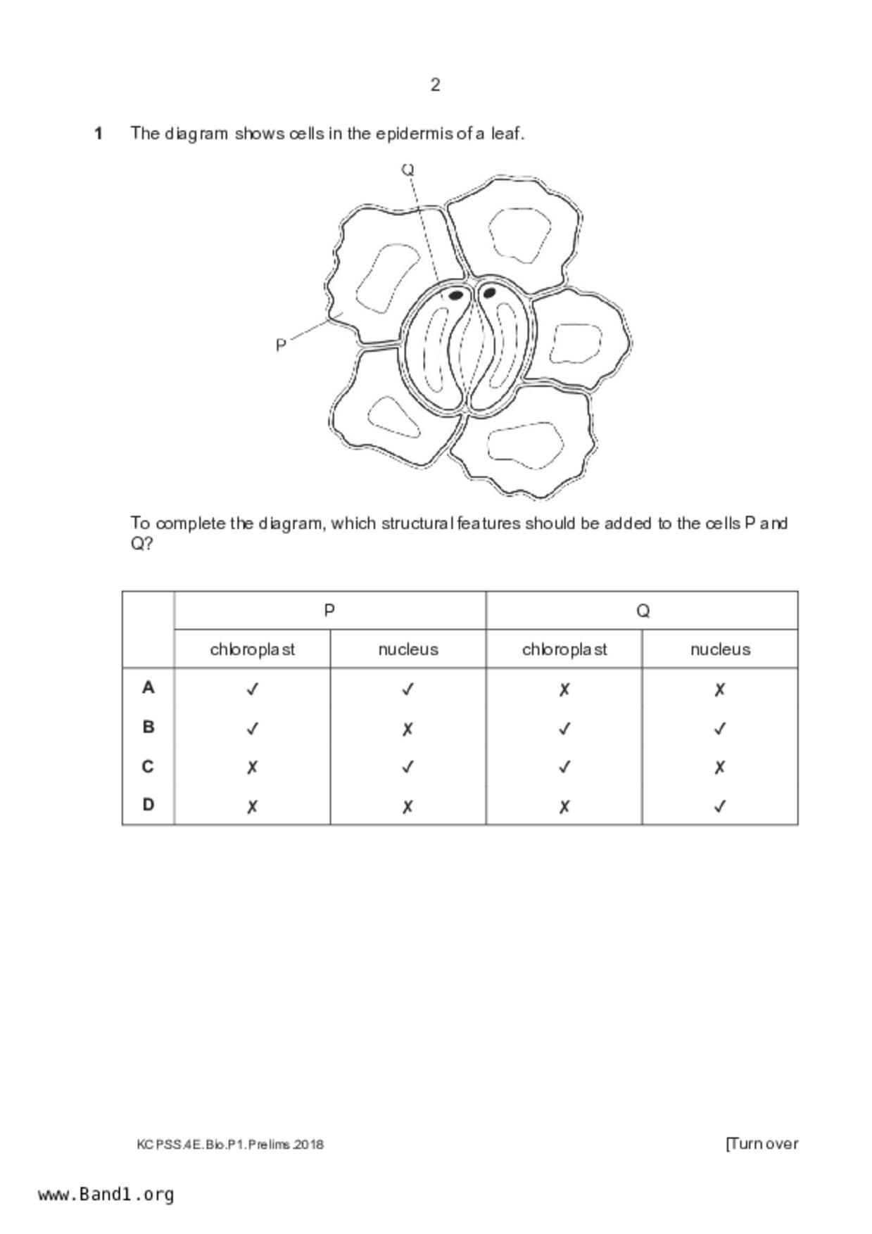 S5Pure Biology試卷