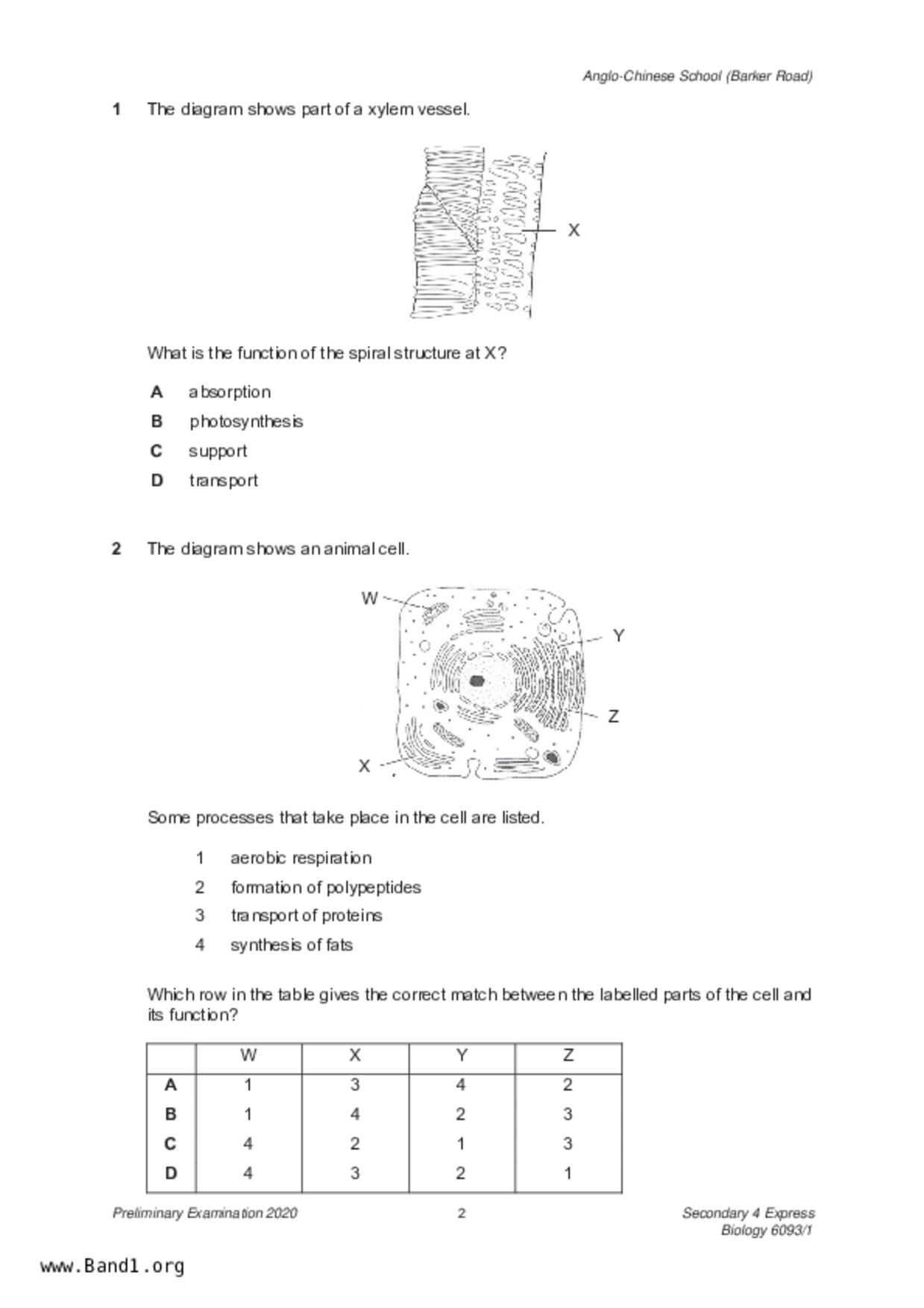 S5Pure Biology試卷