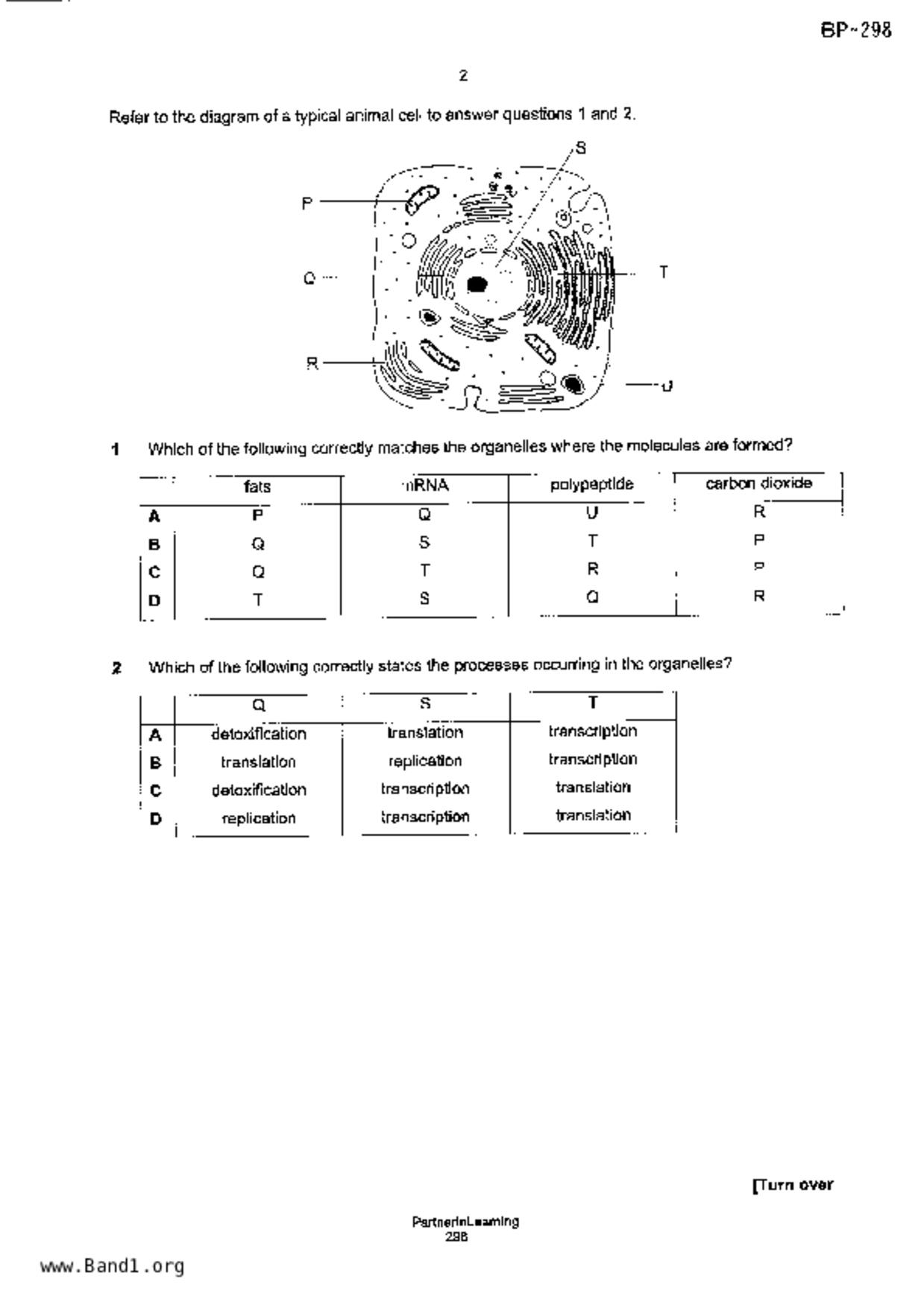 S5Pure Biology試卷
