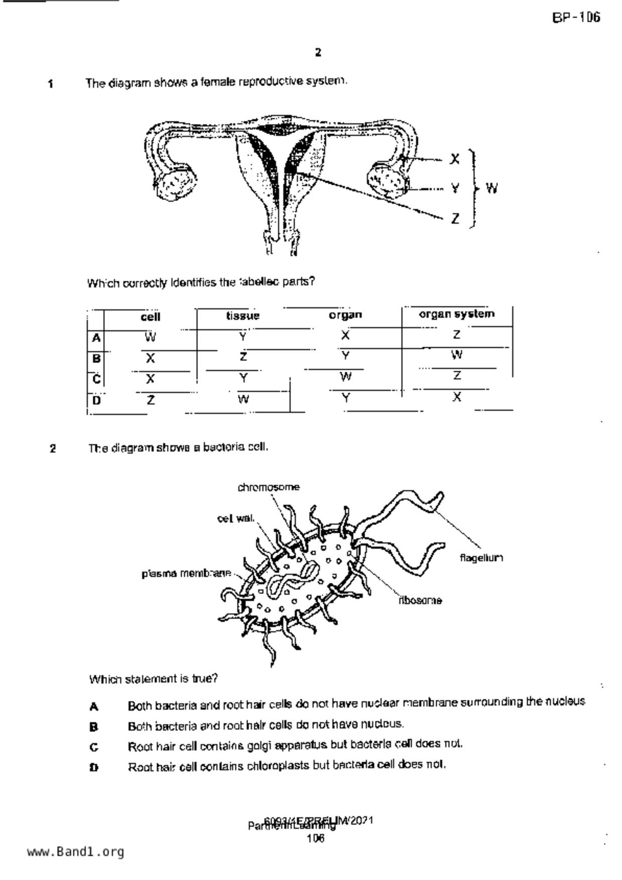 S5Pure Biology試卷