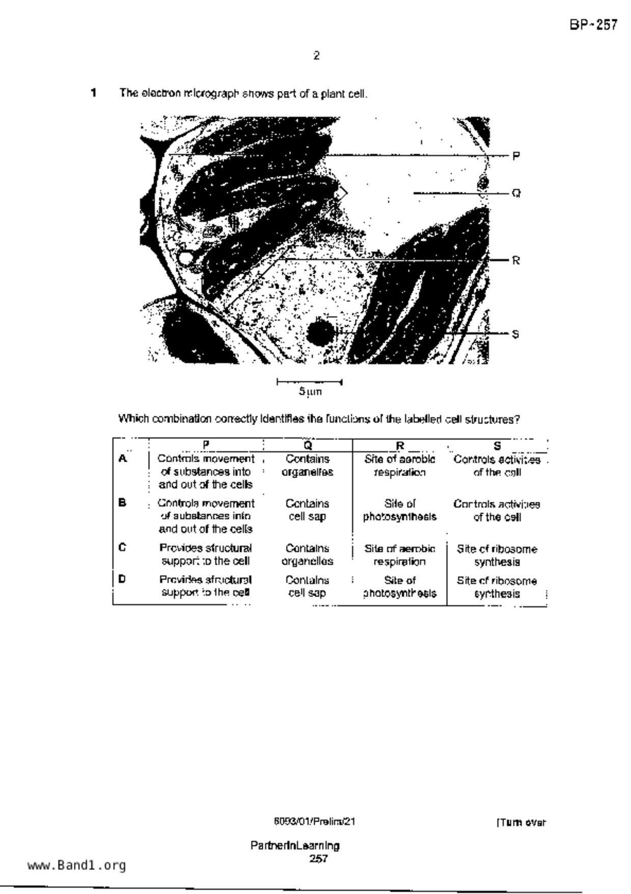 S5Pure Biology試卷