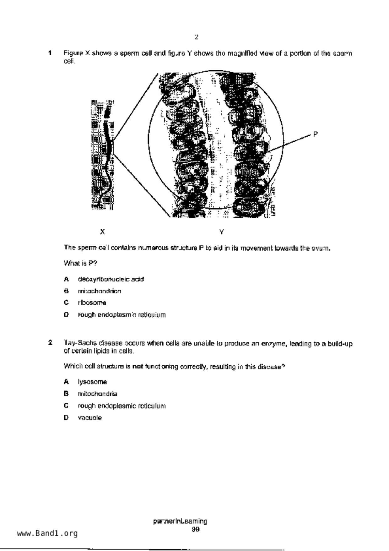 S5Pure Biology試卷
