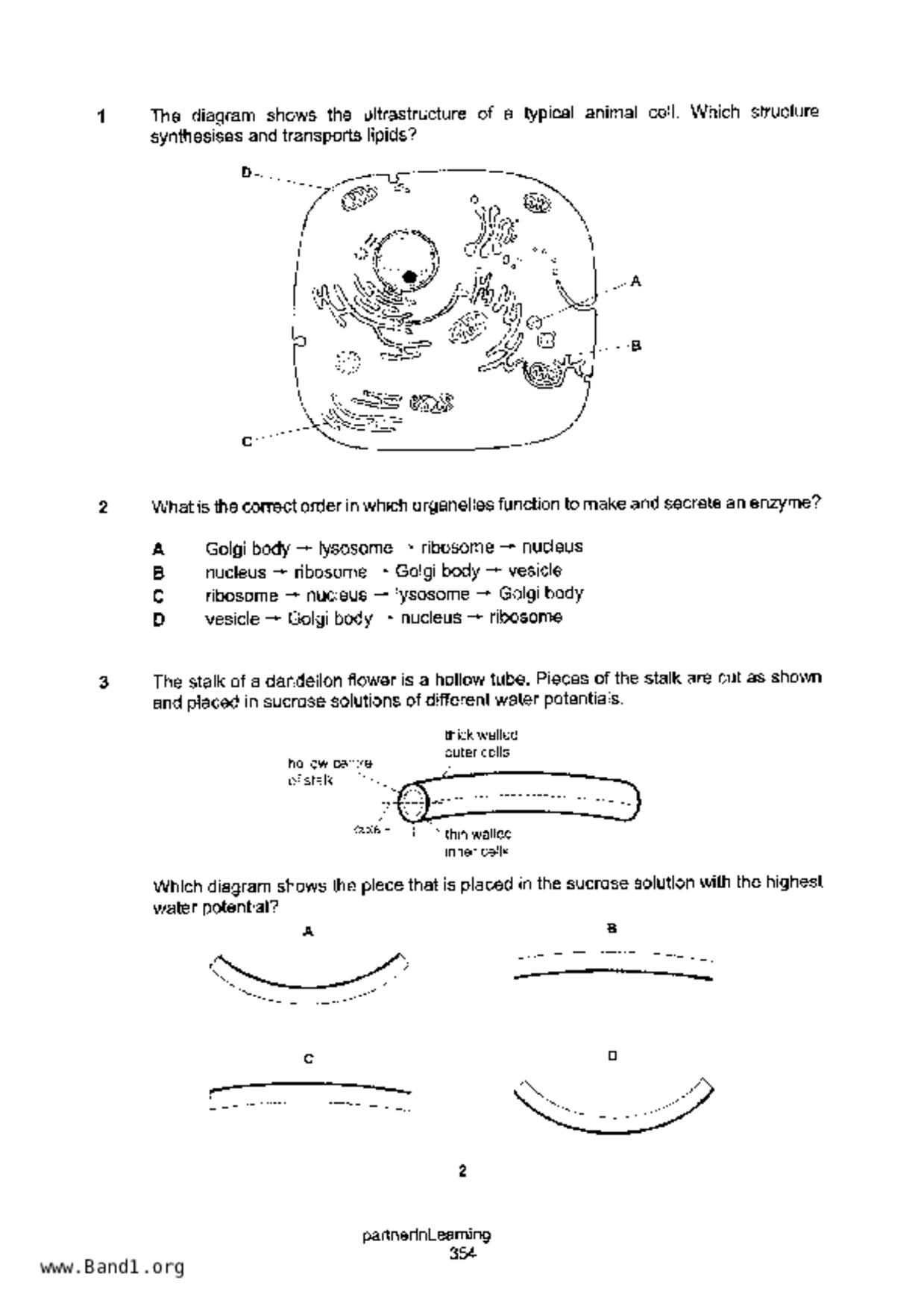 S5Pure Biology試卷