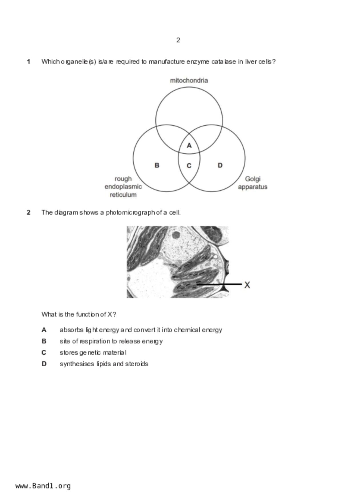 S5Pure Biology試卷