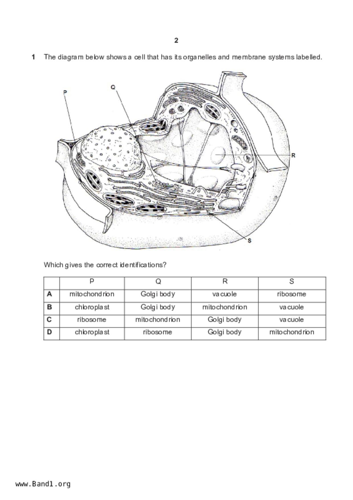 S5Pure Biology試卷
